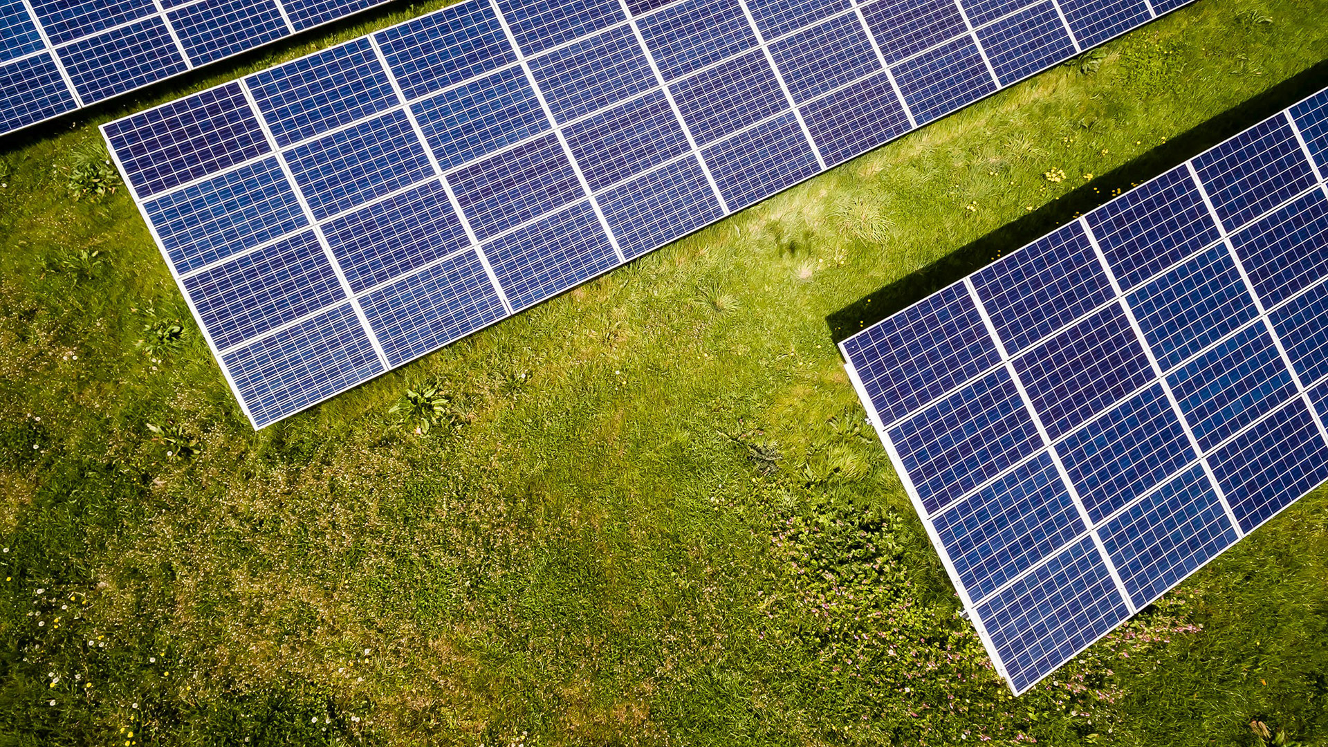 A solar array in open countryside