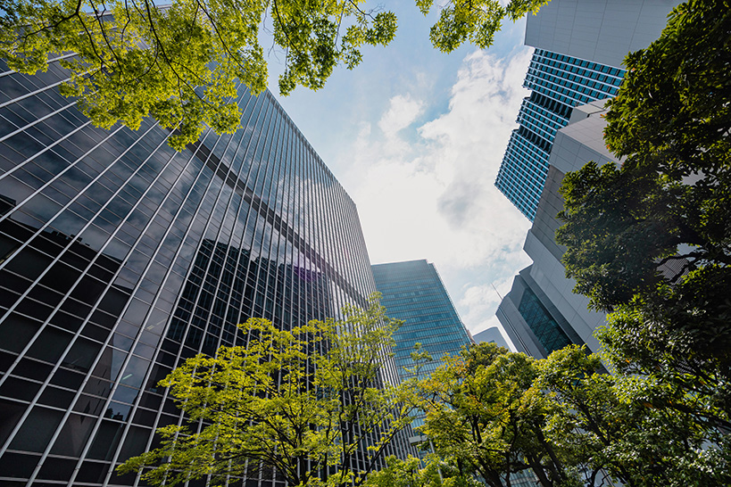 Office towers seen from street level between trees