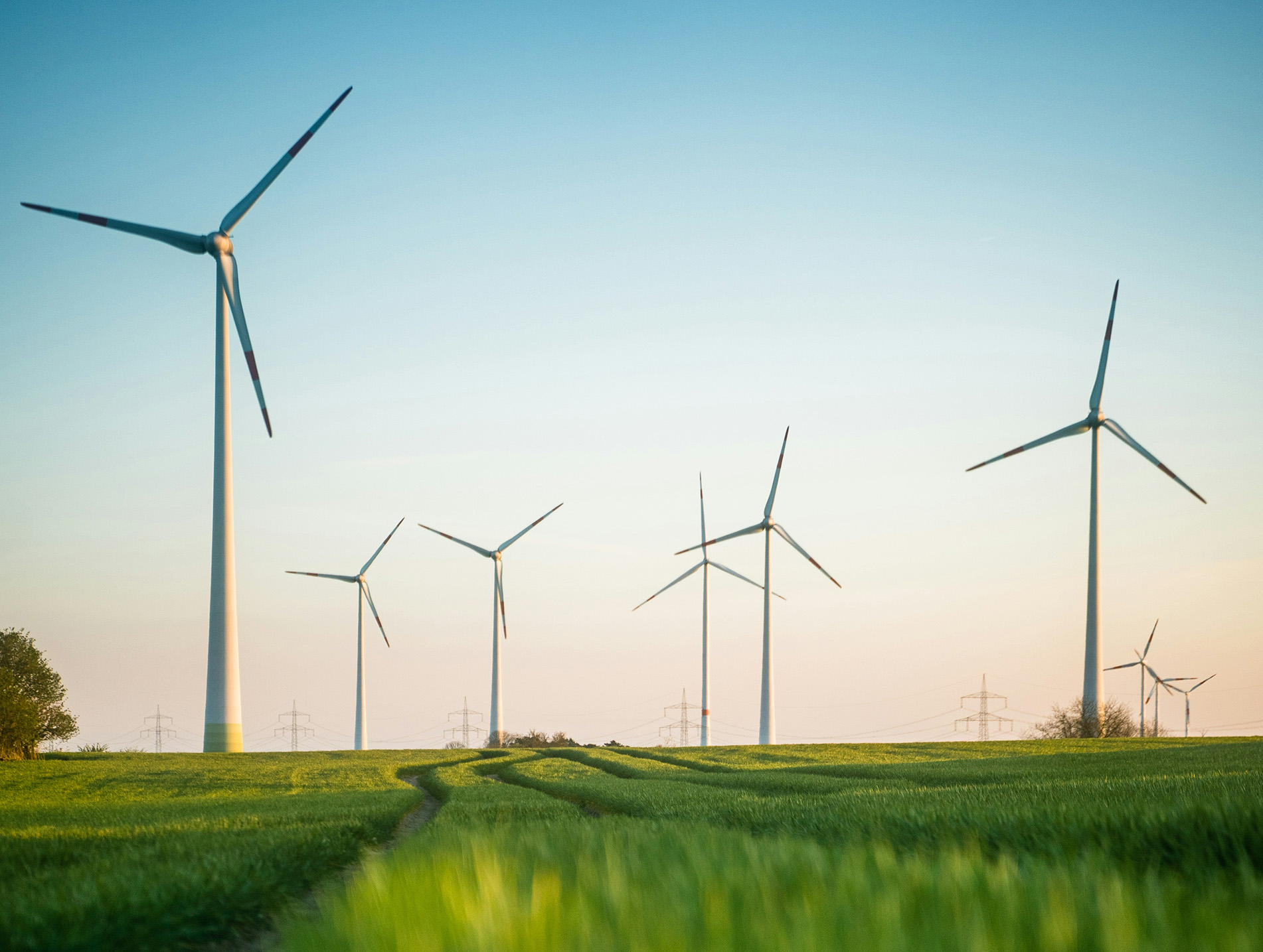 Wind turbines standing in a field of young wheat